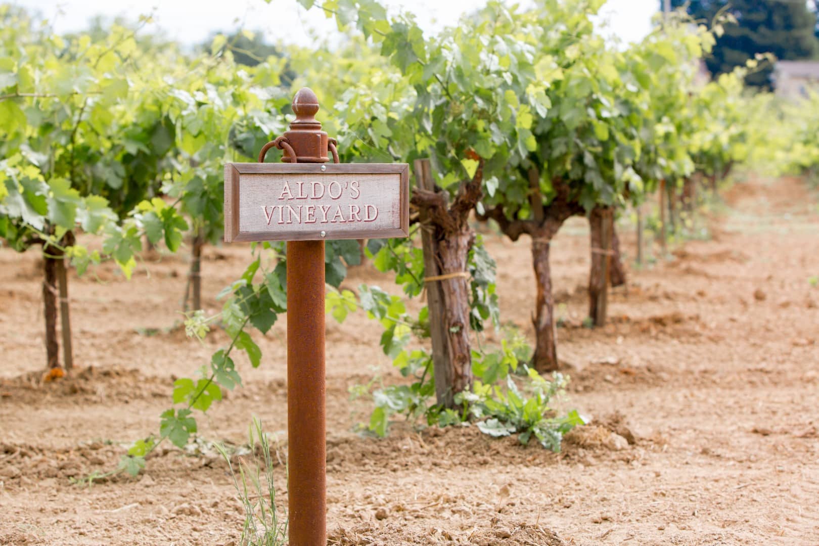 wooden sign marking Aldo's Vineyard at the Robert Biale Vineyards property