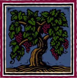 Biale vine icon in color