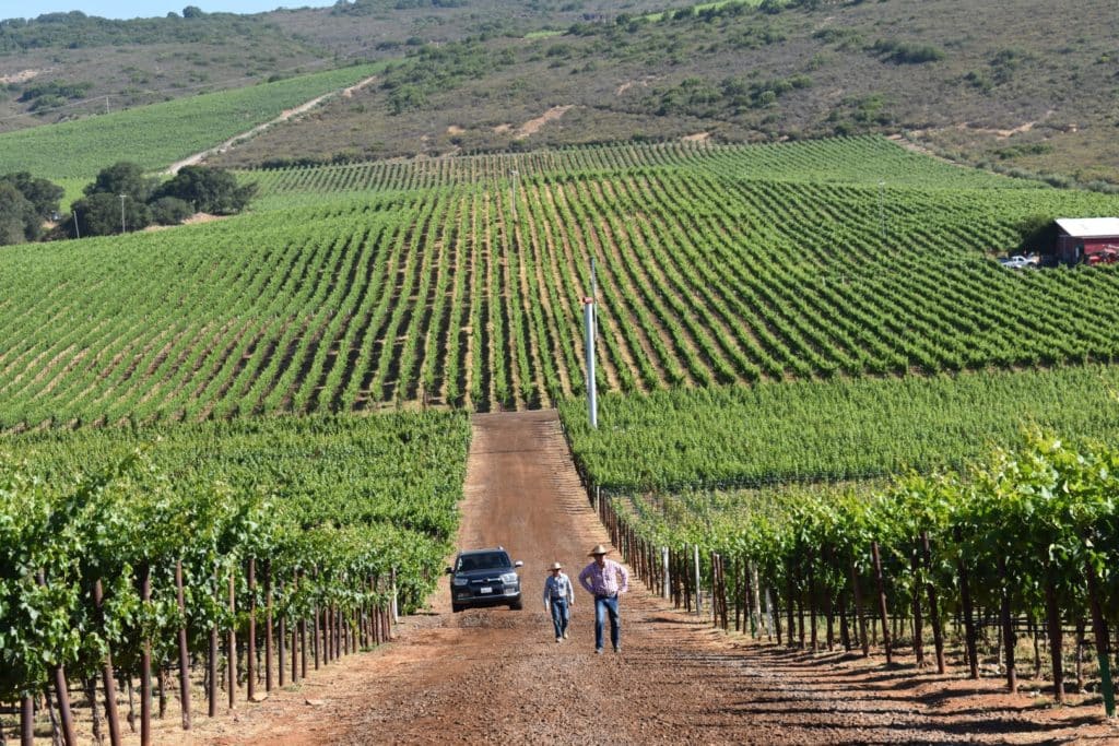 Bob Biale and Tres Goetting at Stagecoach Vineyards in Napa Valley. 