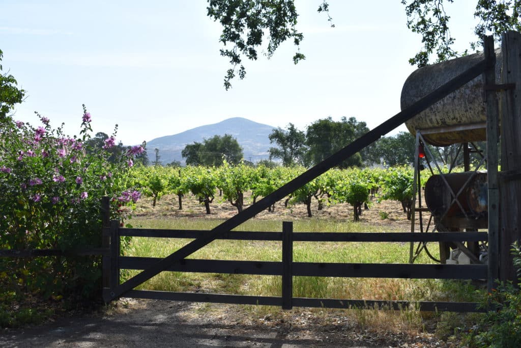 wooden fence with large gate with view of Grande Vineyard