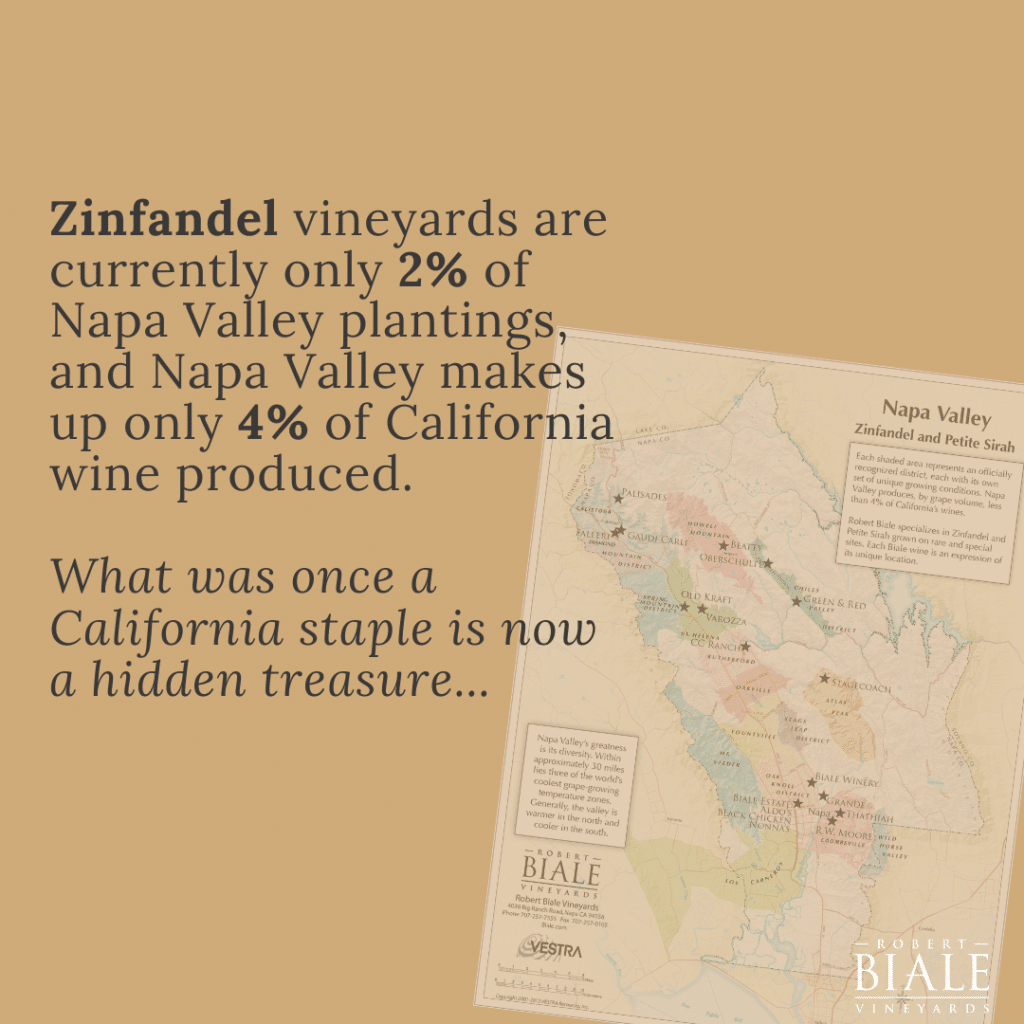 Zinfandel and Petite Sirah. Zinfandel vineyards are currently only 2% of Napa Valley plantings, and Napa Valley makes up only 4% of California wine produced. What was once a California staple is now a hidden treasure.