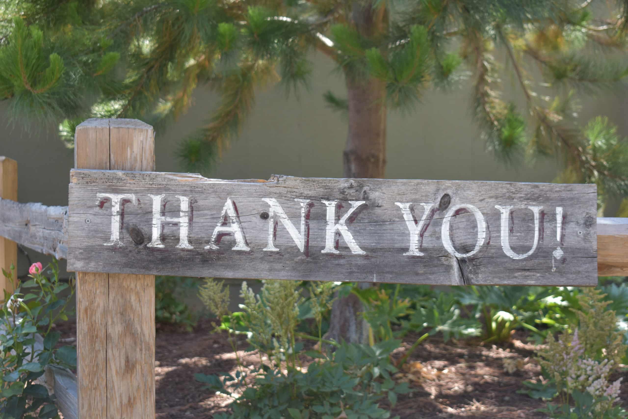 Woden board on wood fence with pained thank you on it, tree and plants in the background