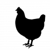 outline of chicken in black